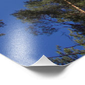 Pine Trees CC0278 Impression photo (27 po, 68 cm) (Coin)