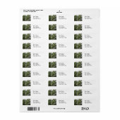 Pine Trees Etiket (Full Sheet)