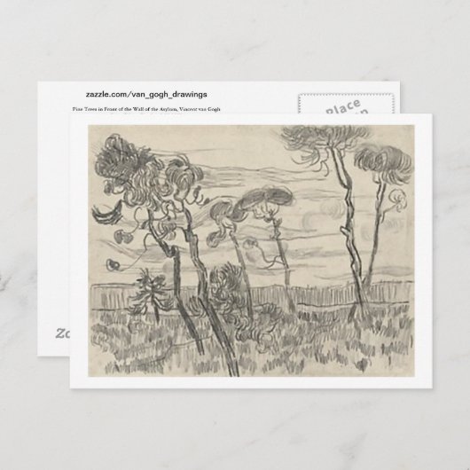 Pine Trees Front of Wall Asylum, Vincent van Gogh Briefkaart (Voorkant / Achterkant)