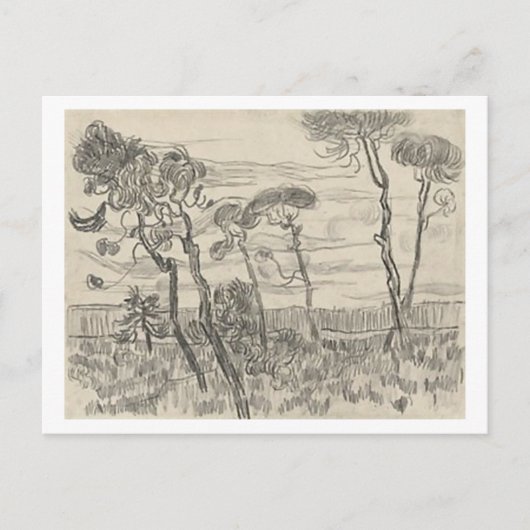 Pine Trees Front of Wall Asylum, Vincent van Gogh Briefkaart (Voorkant)