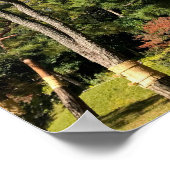 Pine Trees in het najaar van de hemel Poster (Hoek)