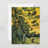 Pine Trees tegen een rode hemel Briefkaart (Voorkant / Achterkant)