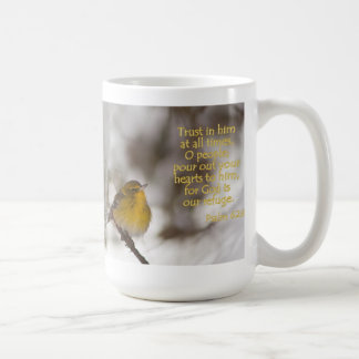 Pine Warbler Psalm 62:8 Mok