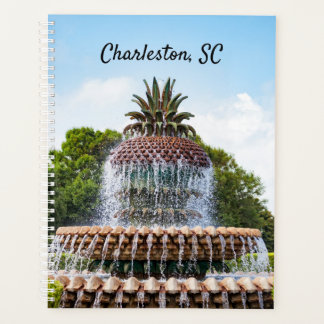 Pineapple Fountain à Charleston