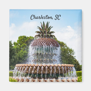 Pineapple Fountain in Charleston, SC Magneet