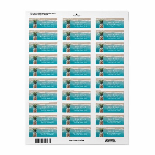 Pineapple Mason Jar String Lights Beach Weddenscha Etiket (Full Sheet)