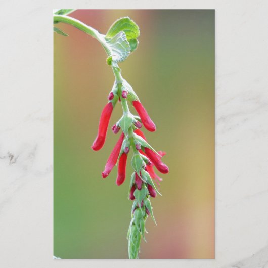 Pineapple Sage Bloom Briefpapier (Voorkant)