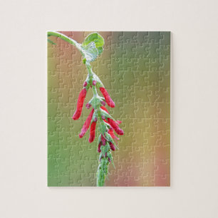Pineapple Sage Bloom Legpuzzel