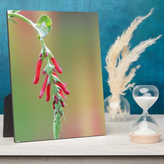 Pineapple Salie Bloei Fotoplaat (Zijkant)