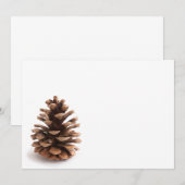 Pinecone (Voorkant / Achterkant)