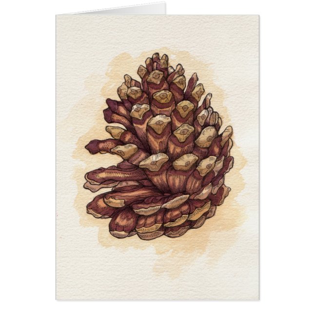 Pinecone (Devant)