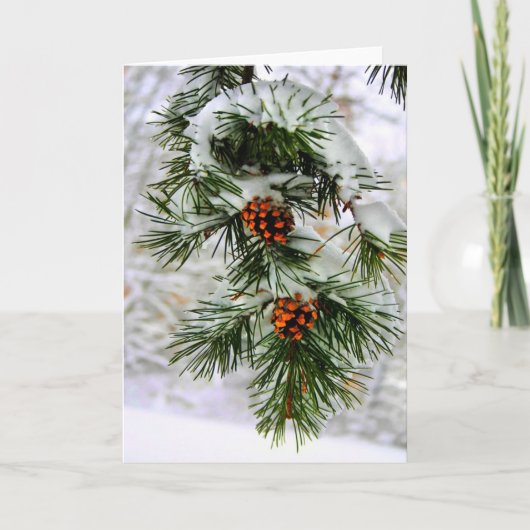 PineCone BranchHD Feestdagen Kaart (Voorkant)