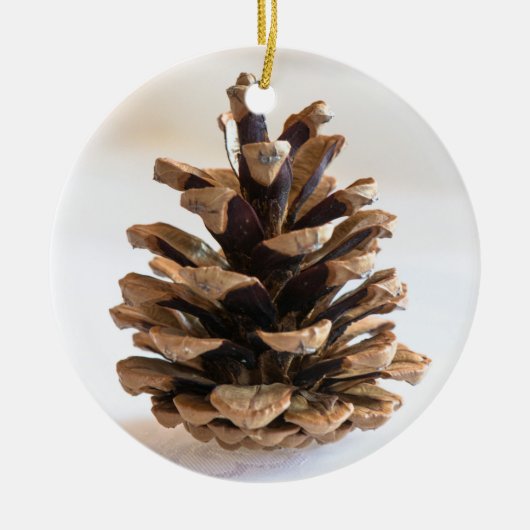 Pinecone Keramisch Ornament (Voorkant)