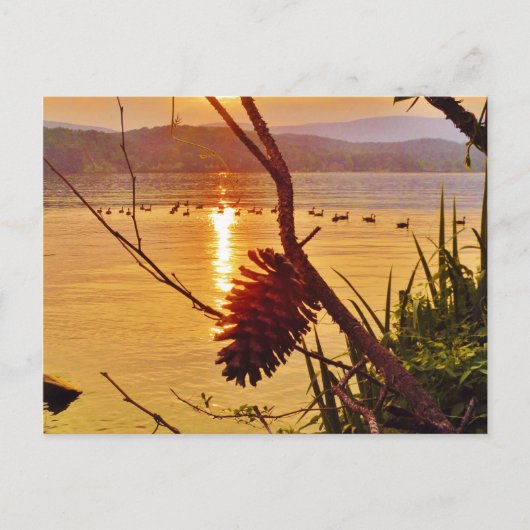 Pinecone Lake sunset Briefkaart (Voorkant)