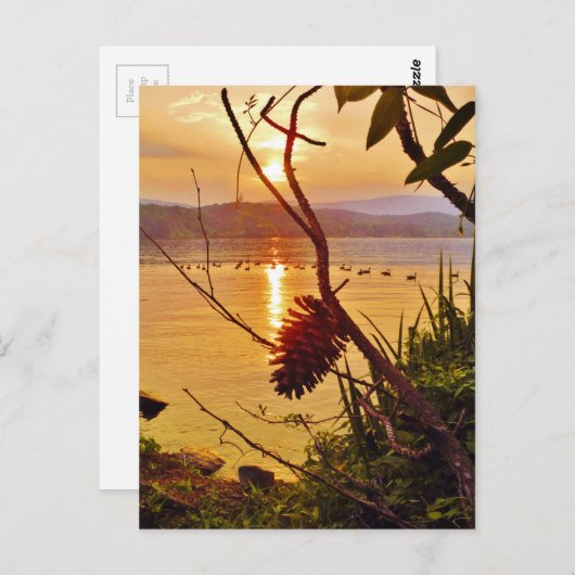 Pinecone Lake sunset Briefkaart (Voorkant / Achterkant)