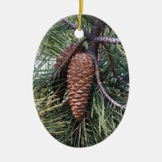 Pinecone op de dennenboom keramisch ornament (Voorkant)