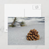 Pinecone op het sneeuwBriefkaart Briefkaart (Voorkant / Achterkant)