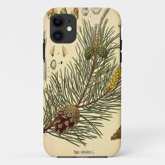 Pinecone Pine Tree  Botanisch afdrukken Case-Mate iPhone Case (Achterkant)