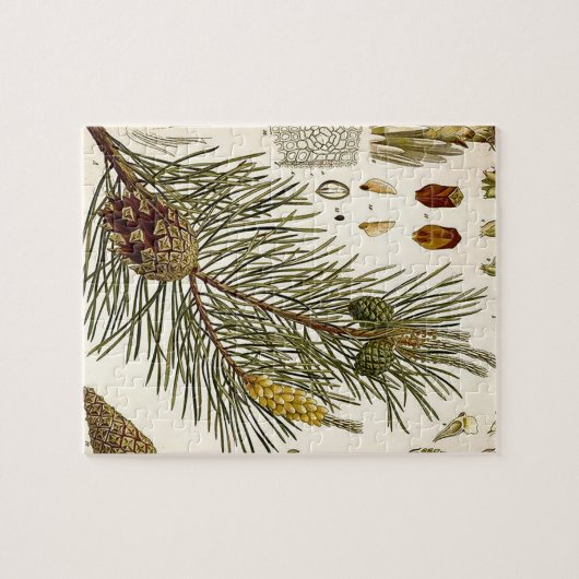 Pinecone Pine Tree  Botanisch afdrukken Legpuzzel (Horizontaal)
