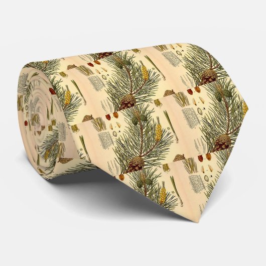 Pinecone Pine Tree  Botanisch afdrukken Stropdas (Opgerold)