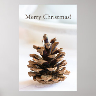 Pinecone Poster