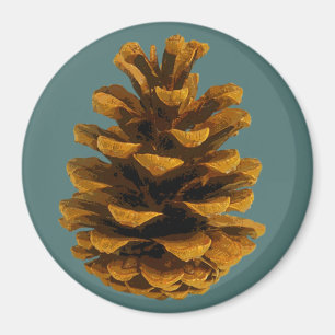 Pinecone rustic natuur magneet