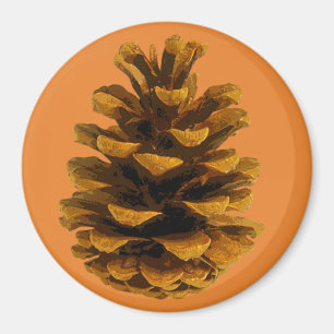 Pinecone rustieke natuur bruin sinaasappel herfst magneet