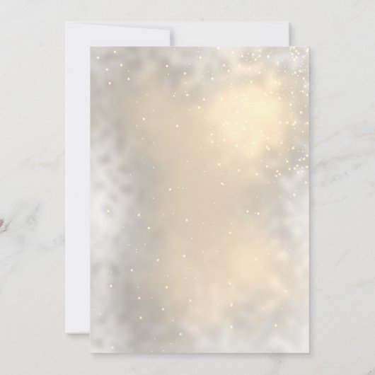 Pinecone String Lights Winter Wedding Save The Dat Date (Achterkant)