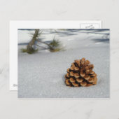 Pinecone sur la carte postale de neige (Devant / Derrière)