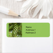 Pinecones Aangepaste labels (Insitu)