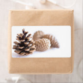 Pinecones Etiket (Insitu)
