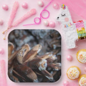 Pinecones Herfst Autumn Natuur Papieren Bordje (Feest)