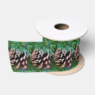 Pinecones Lint
