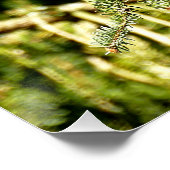 Pinecones Perfect Poster (Hoek)