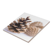Pinecones Tegeltje (Zijkant)