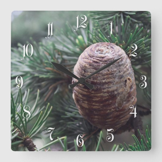 Pinecones Vierkante Klok (Voorkant)