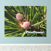 Pineflower Canvas Afdruk (Insitu (Houten vloer))