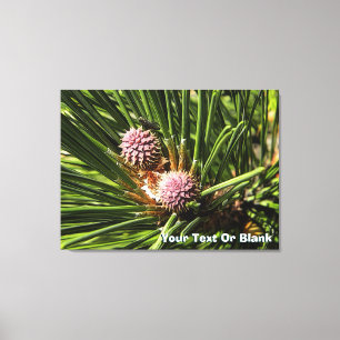 Pineflower Canvas Afdruk