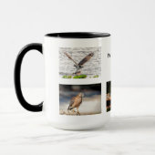 Pinella's County Florida Wildlife Mok (Links)