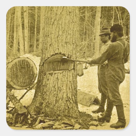 Pineries van Michigan Goodridge Brothers Saginaw M Vierkante Sticker (Voorkant)