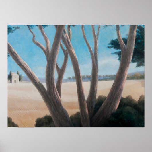 Pines near Pienza 2012 Poster (Voorkant)