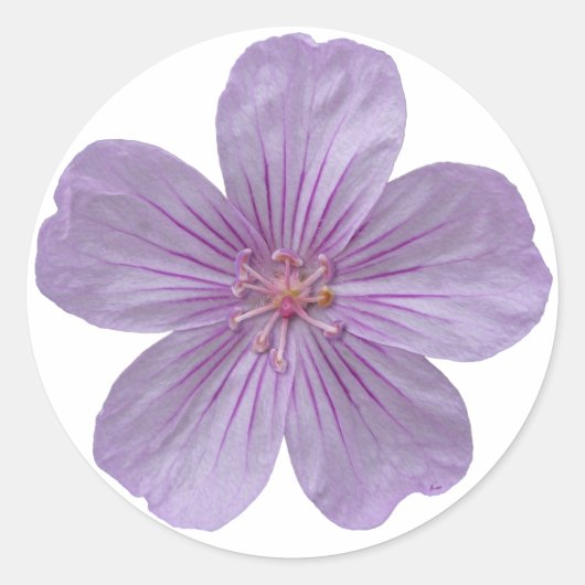 Pineywood Geranium #1 Ronde Sticker (Voorkant)