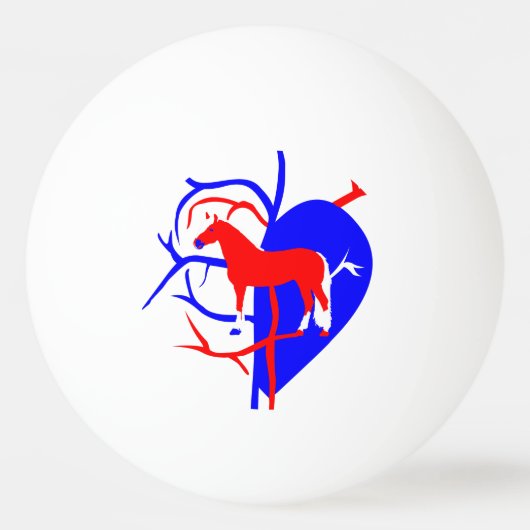 Ping Pong Balle de cheval (Devant)