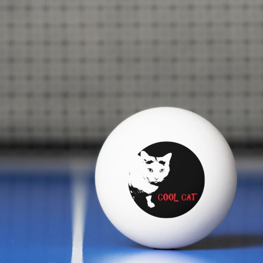 Ping Pong BALLE DE PING-PING cool (Filet)