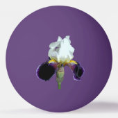 Ping Pong Balle de ping-pong Iris Violet et Blanc (Devant)