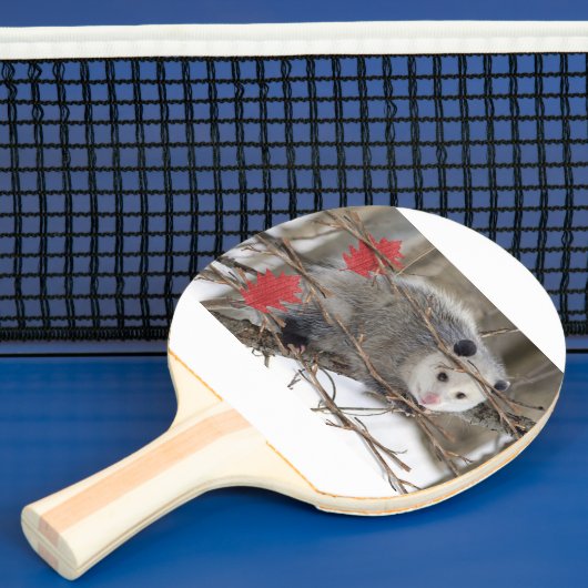 Ping Pong Paddle Opossum Natuur Tafeltennisbatje (Insitu)