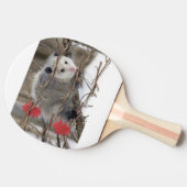 Ping Pong Paddle Opossum Natuur Tafeltennisbatje (Zijkant)