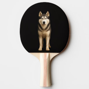 Ping Pong Raquette de ping-pong Black 4 Luxe, Icy Elite Husk