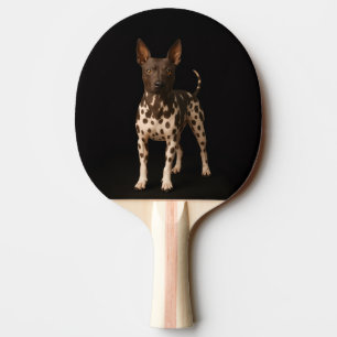 Ping Pong Raquette de ping-pong Black 4 Luxe, Terrier sans p