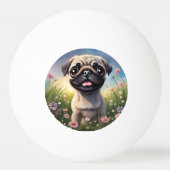 Ping Pug Ball (Voorkant)